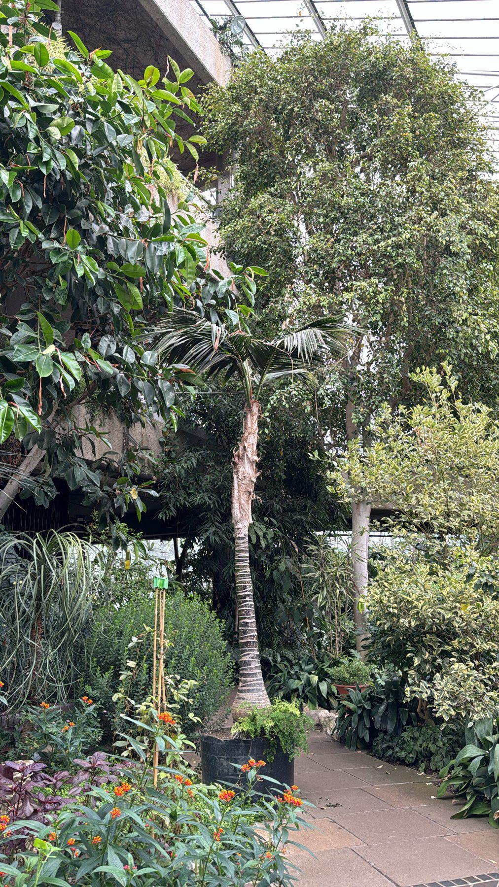Barbican