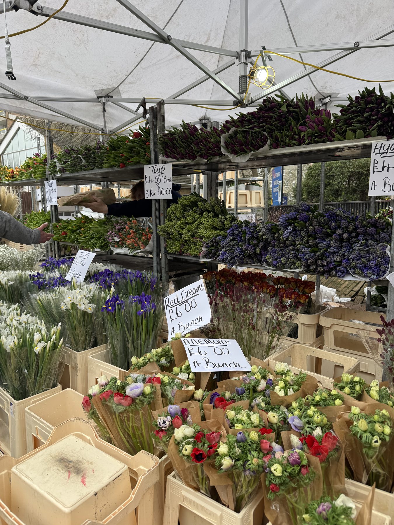 Columbia Road Flower Market